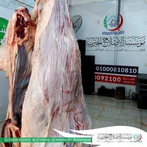 مؤسسة الاصلاح الخيرية