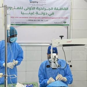 المجلس الإسلامي العالمي للدعوة والإغاثة