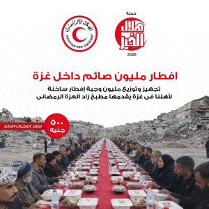 الهلال الأحمر المصري