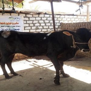 جمعية البراق للخدمات الإجتماعية