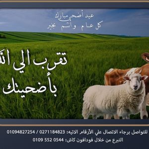 جمعية تأهيل شباب المعاقين