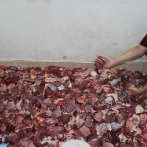 جمعية شباب الخير للتنمية